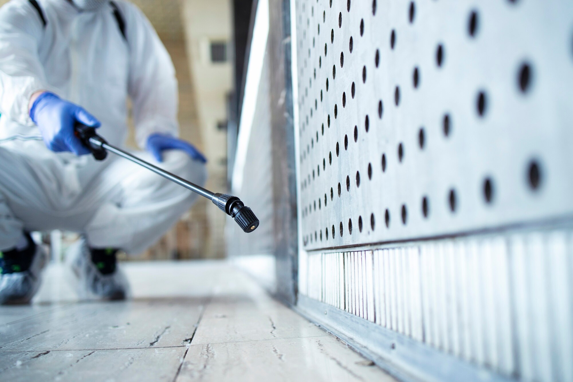 Structural Pest Control