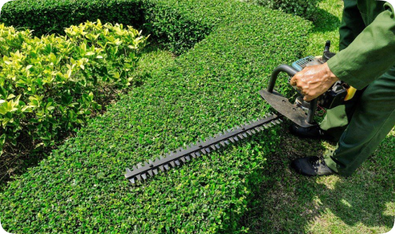 Gardening Services
